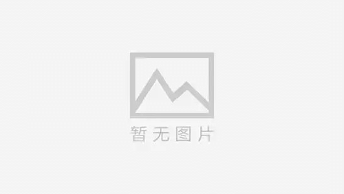 一位平凉女士的亲身经历：如何找回失联的爱犬